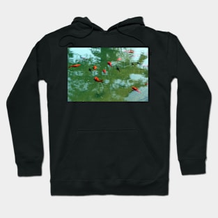 Koi Fish Hoodie